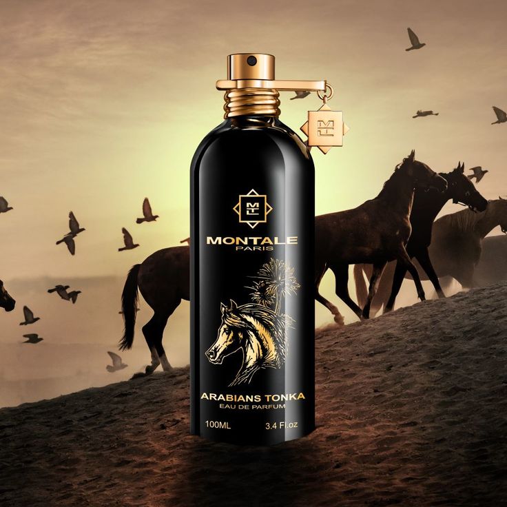 Montale Arabians Tonka